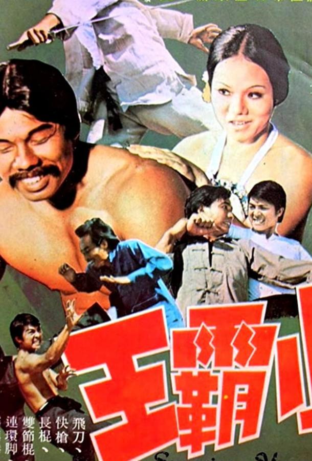 Парень суперкунгфуист фильм (1973)