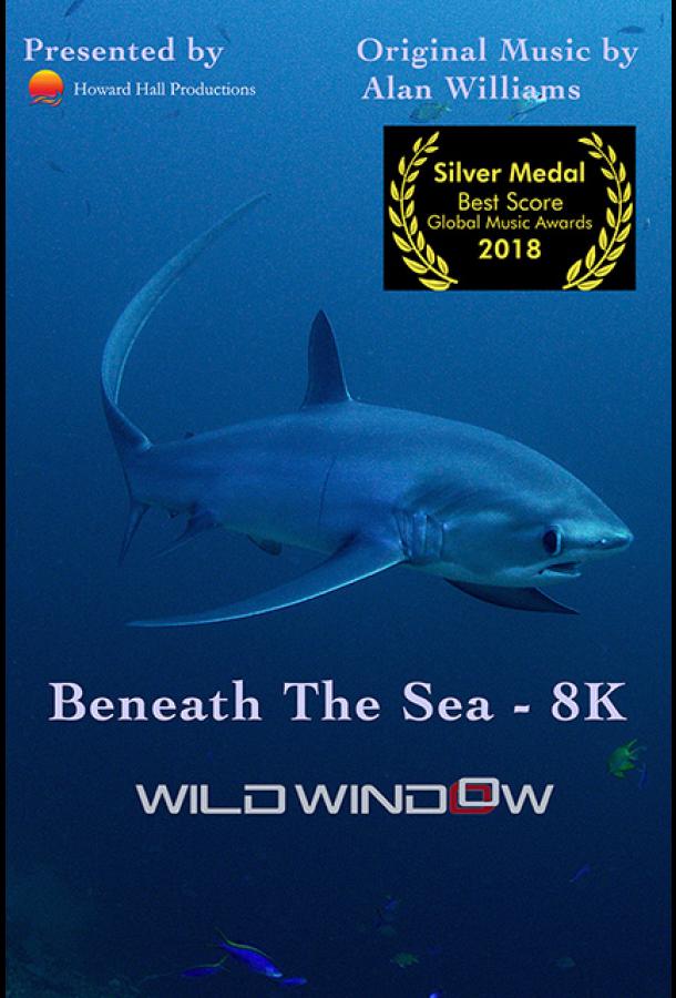 Wild Window: Beneath the Sea фильм (2018)
