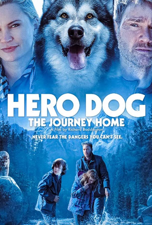 Собака-герой: путешествие домой фильм (2021)